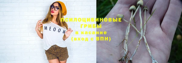 альфа пвп Нязепетровск