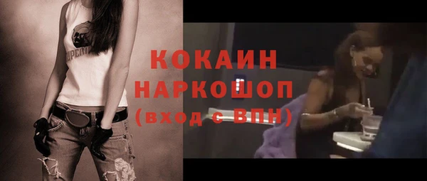 дмт Новодвинск