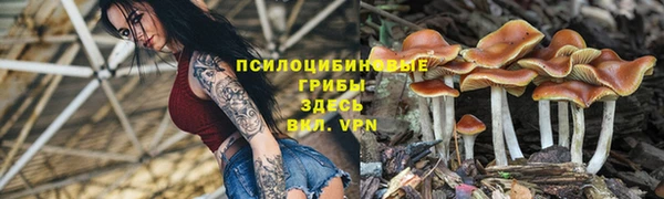 альфа пвп Нязепетровск